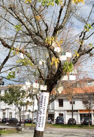 Póvoa de Lanhoso implementa projeto de promoção do sucesso escolar