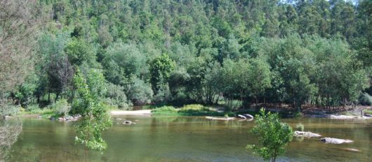 Praia Fluvial de Verim renova “Qualidade de Ouro” da água