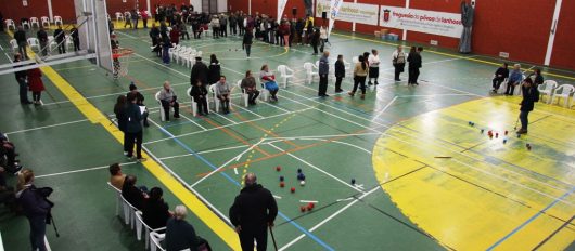 Seniores animados e competitivos em Torneio de Boccia