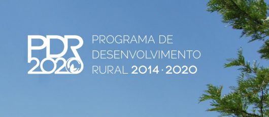 Abertura de candidaturas Programa de Desenvolvimento Rural – PDR 2020
