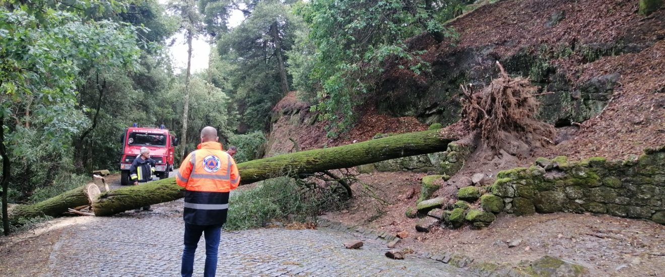 Proteção Civil da Póvoa de Lanhoso acompanhou ocorrências provocadas pela chuva e vento