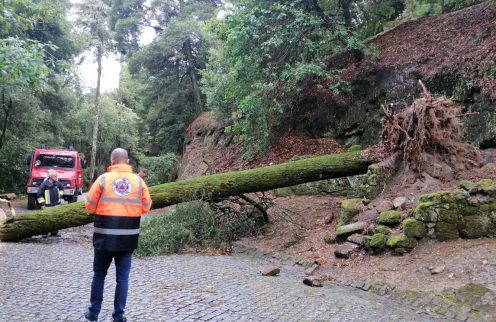 Proteção Civil da Póvoa de Lanhoso acompanhou ocorrências provocadas pela chuva e vento