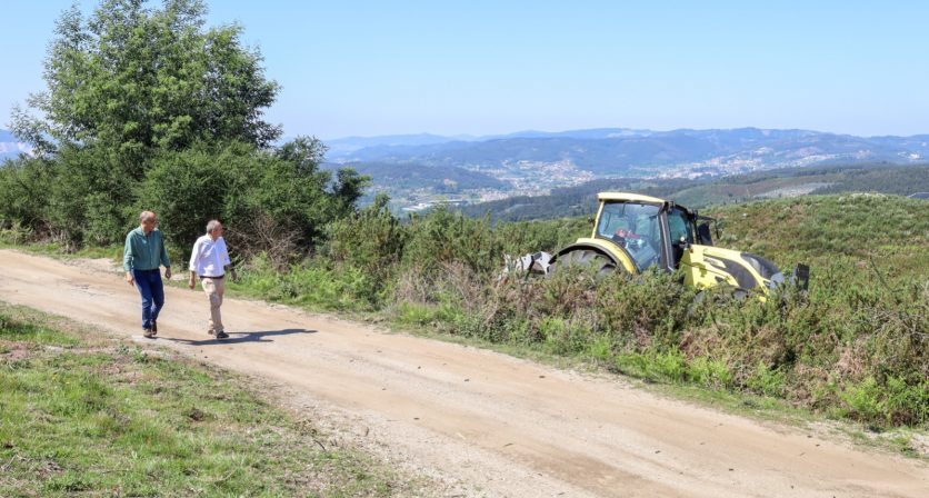 Rascunho automático 2144