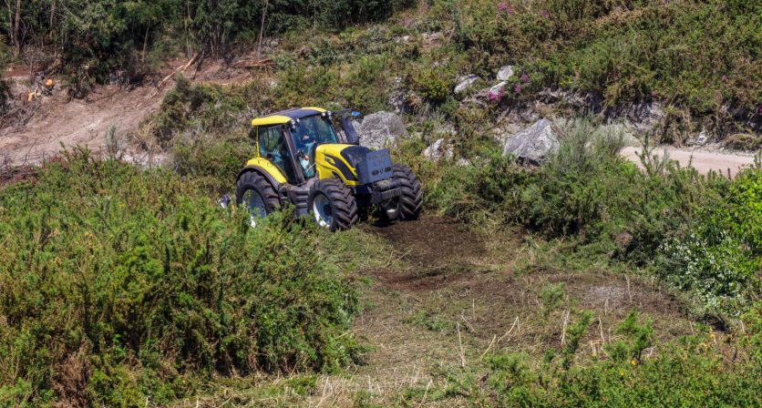 Rascunho automático 2143