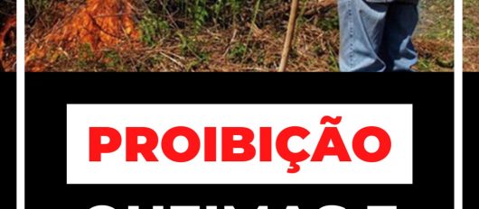 Queimas e Queimadas proibidas