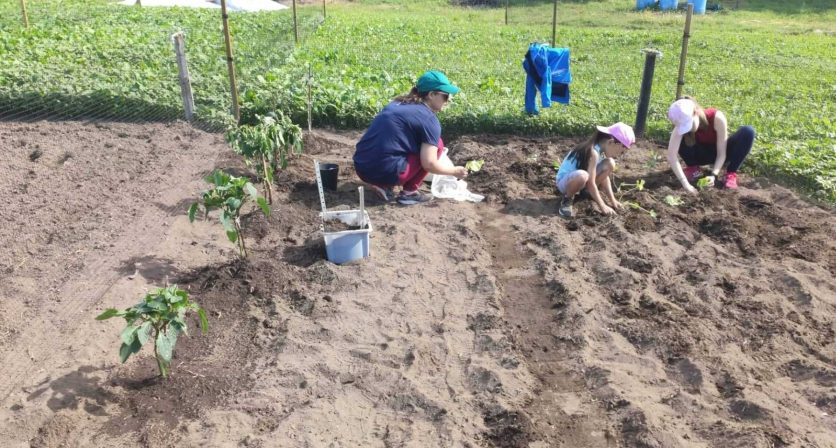 Famílias começam a cultivar Hortas Comunitárias da Póvoa de Lanhoso 1