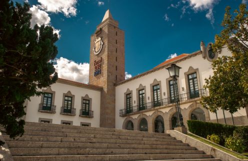 Consulta pública – Projeto de Regulamento Municipal de Gestão do Arvoredo em Meio Urbano