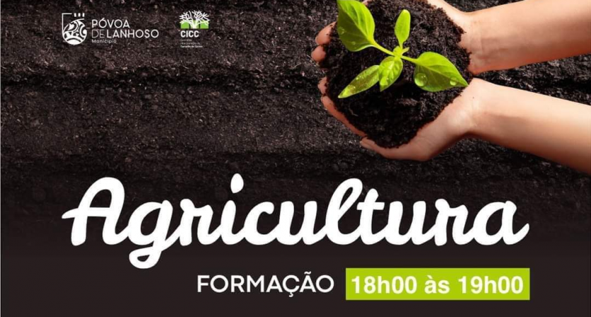 Formação Agricultura- Plantas suculentas