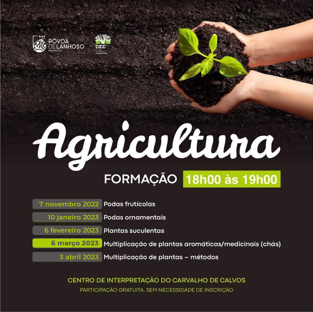 Formação Agricultura - Multiplicação de plantas aromáticas/medicinais (chás) 1