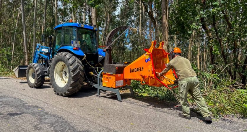 Rascunho automático 3254