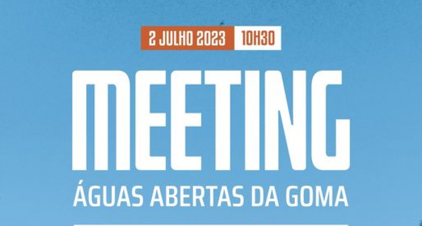 Rascunho automático 3310