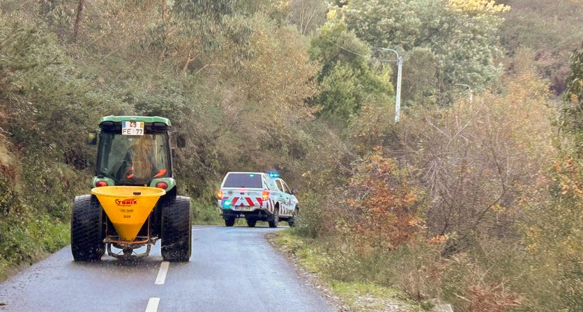 Rascunho automático 3731