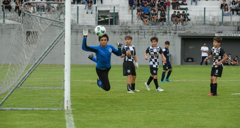 Rascunho automático 4010