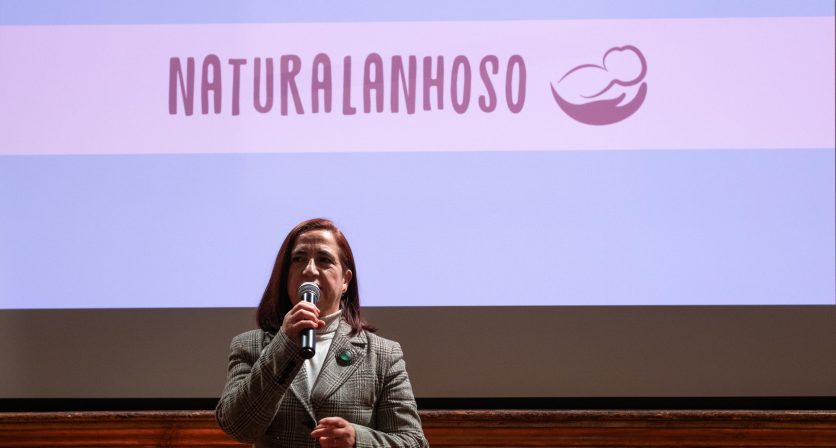 Rascunho automático 4452