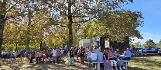 Outubro – Mês Sénior – OFICINAS DA VIDA