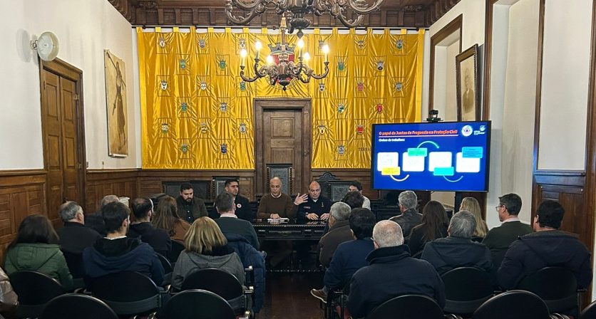 Rascunho automático 4719