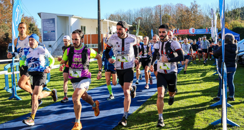 Rascunho automático 4716