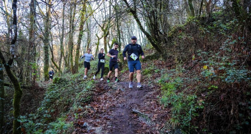 Rascunho automático 4717