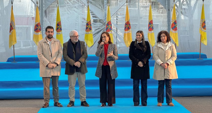 Rascunho automático 4742