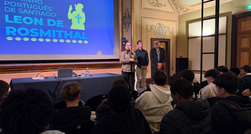 Rascunho automático 4773