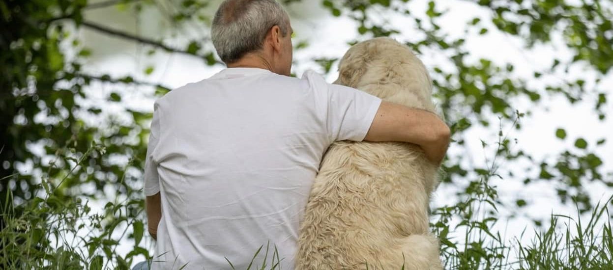 Póvoa de Lanhoso mantém aposta na esterilização de animais