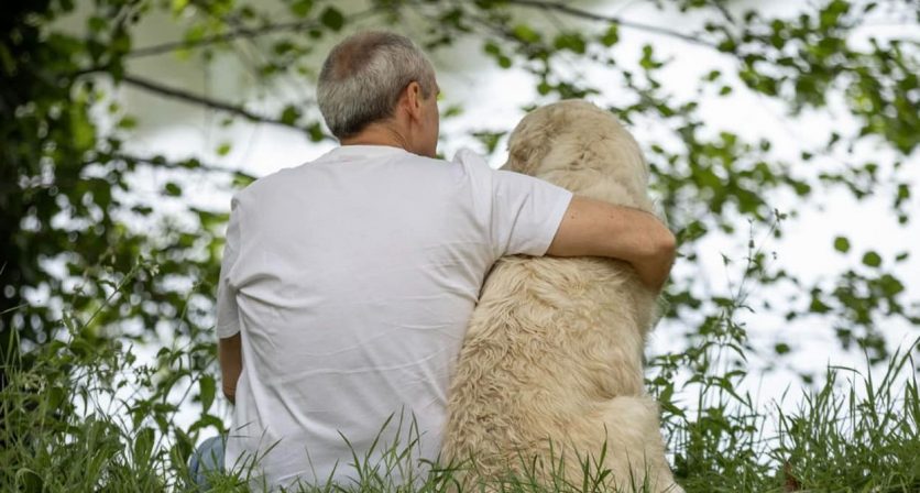 Póvoa de Lanhoso mantém aposta na esterilização de animais