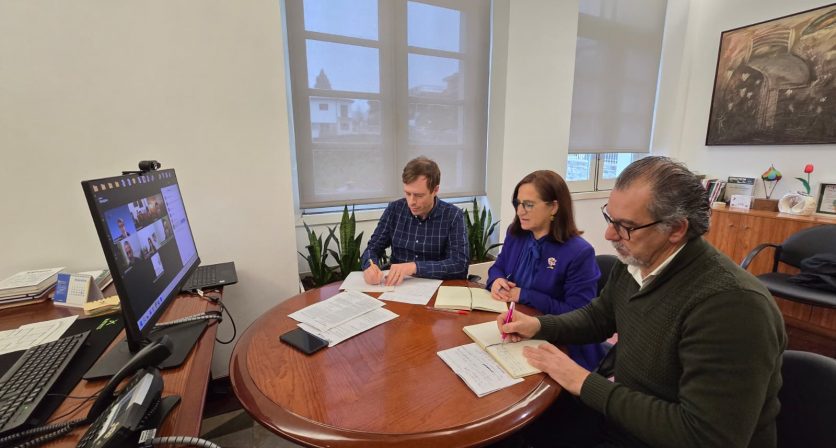 Rascunho automático 4761