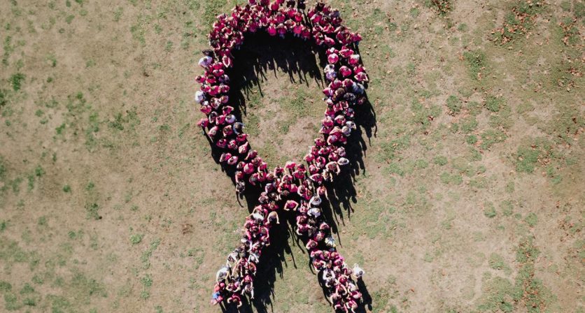 Rascunho automático 4768